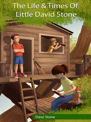 cover image of The Life and Times of Little David Stone